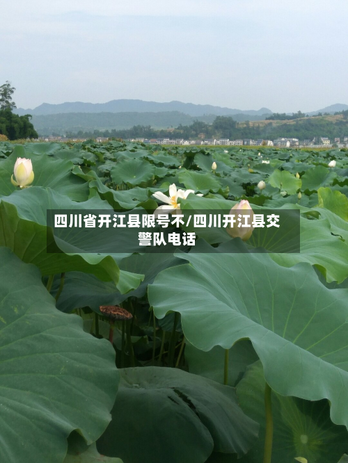 四川省开江县限号不/四川开江县交警队电话-第2张图片