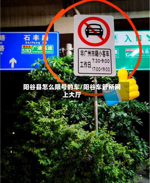 阳谷县怎么限号的车/阳谷车管所网上大厅-第2张图片