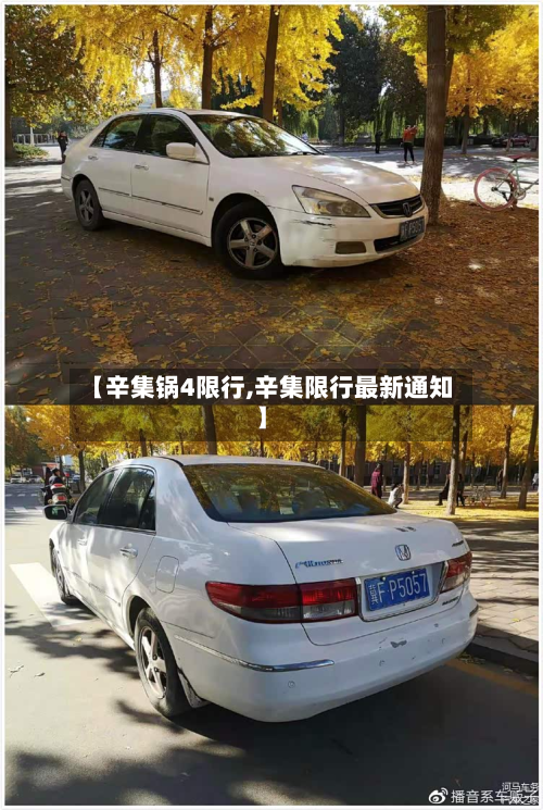 【辛集锅4限行,辛集限行最新通知】