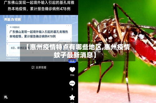 【惠州疫情特点有哪些地区,惠州疫情蚊子最新消息】
