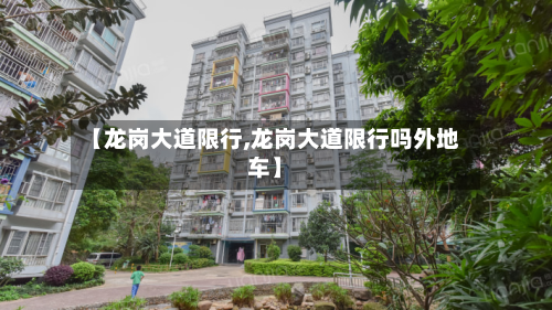 【龙岗大道限行,龙岗大道限行吗外地车】-第2张图片