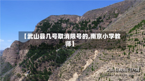 【武山县几号取消限号的,南京小学教师】