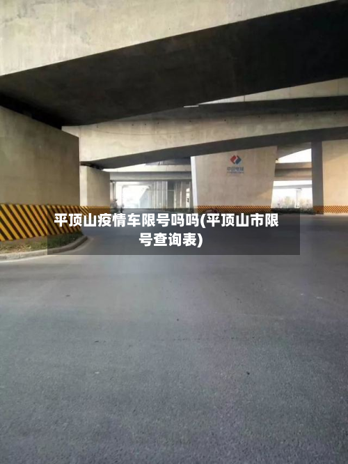 平顶山疫情车限号吗吗(平顶山市限号查询表)