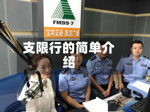 支限行的简单介绍
