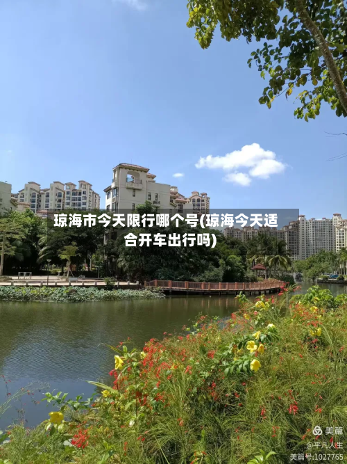 琼海市今天限行哪个号(琼海今天适合开车出行吗)-第2张图片