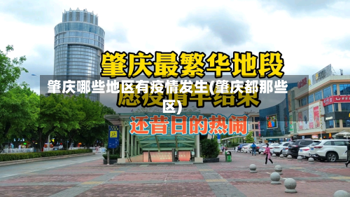 肇庆哪些地区有疫情发生(肇庆都那些区)-第2张图片