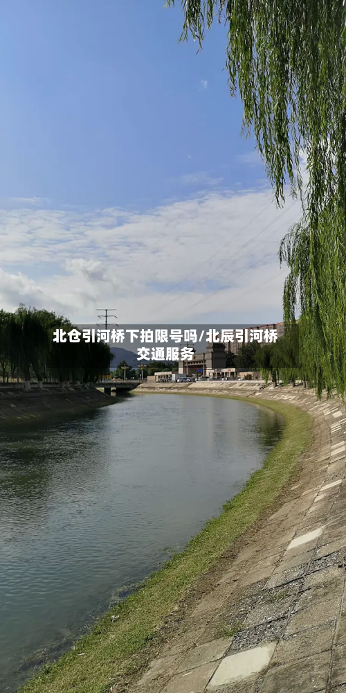 北仓引河桥下拍限号吗/北辰引河桥交通服务