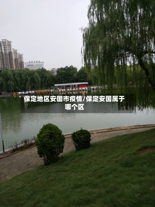 保定地区安国市疫情/保定安国属于哪个区