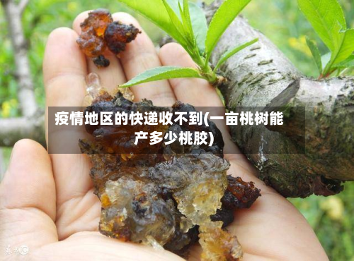 疫情地区的快递收不到(一亩桃树能产多少桃胶)-第3张图片