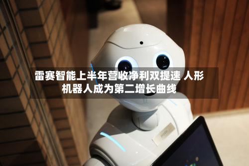 雷赛智能上半年营收净利双提速 人形机器人成为第二增长曲线-第2张图片
