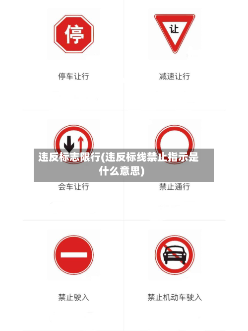 违反标志限行(违反标线禁止指示是什么意思)