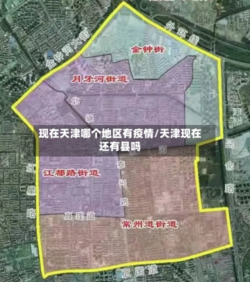 现在天津哪个地区有疫情/天津现在还有县吗