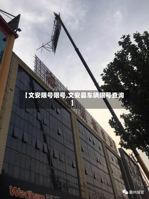 【文安限号限号,文安县车辆限号查询】