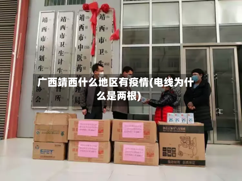 广西靖西什么地区有疫情(电线为什么是两根)-第2张图片