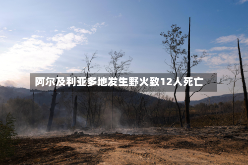阿尔及利亚多地发生野火致12人死亡