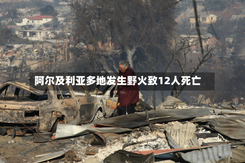 阿尔及利亚多地发生野火致12人死亡-第2张图片