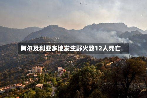 阿尔及利亚多地发生野火致12人死亡-第3张图片