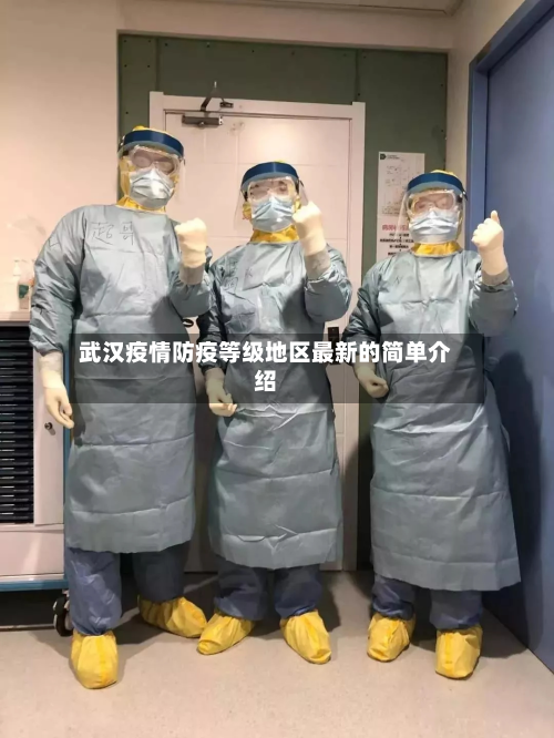 武汉疫情防疫等级地区最新的简单介绍-第3张图片