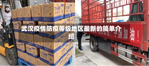 武汉疫情防疫等级地区最新的简单介绍-第2张图片
