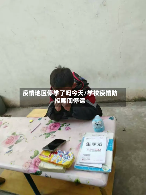 疫情地区停学了吗今天/学校疫情防控期间停课-第2张图片
