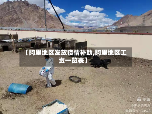 【阿里地区发放疫情补助,阿里地区工资一览表】-第3张图片