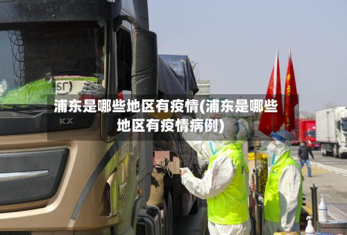 浦东是哪些地区有疫情(浦东是哪些地区有疫情病例)-第3张图片