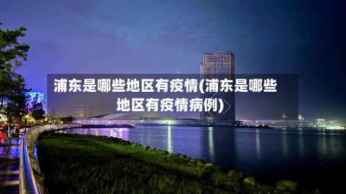 浦东是哪些地区有疫情(浦东是哪些地区有疫情病例)-第2张图片