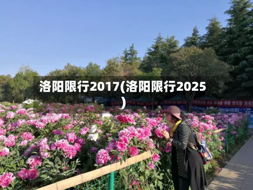 洛阳限行2017(洛阳限行2025)-第2张图片