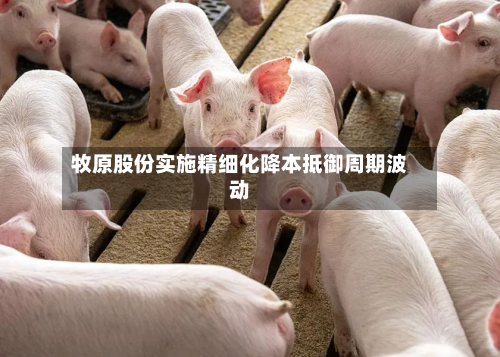 牧原股份实施精细化降本抵御周期波动-第3张图片