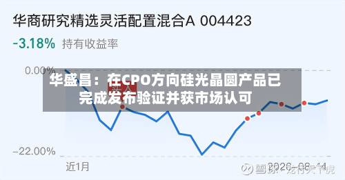 华盛昌：在CPO方向硅光晶圆产品已完成发布验证并获市场认可