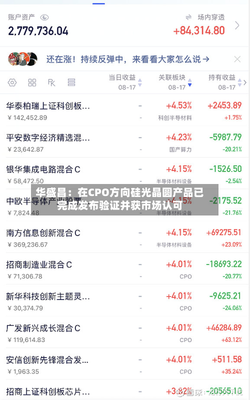 华盛昌:在CPO方向硅光晶圆产品已完成发布验证并获市场认可-第2张图片