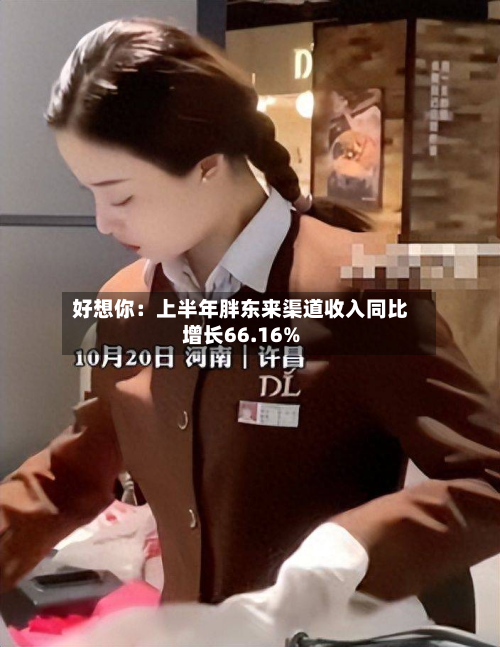 好想你:上半年胖东来渠道收入同比增长66.16%-第2张图片