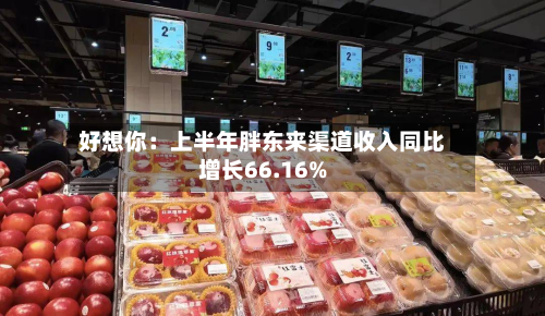 好想你：上半年胖东来渠道收入同比增长66.16%