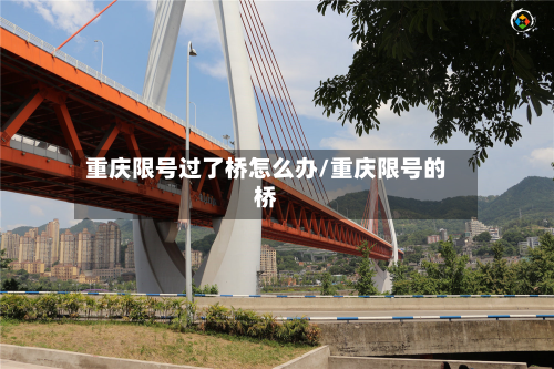 重庆限号过了桥怎么办/重庆限号的桥-第1张图片