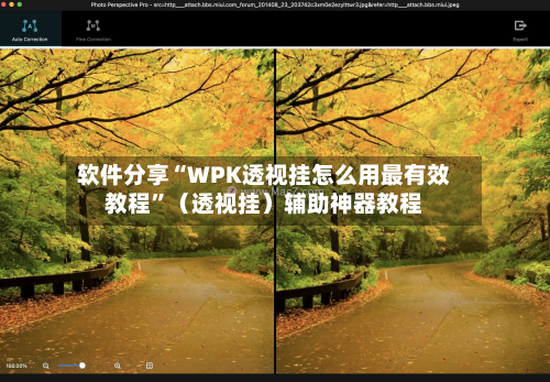 软件分享“WPK透视挂怎么用最有效教程”（透视挂）辅助神器教程-第2张图片