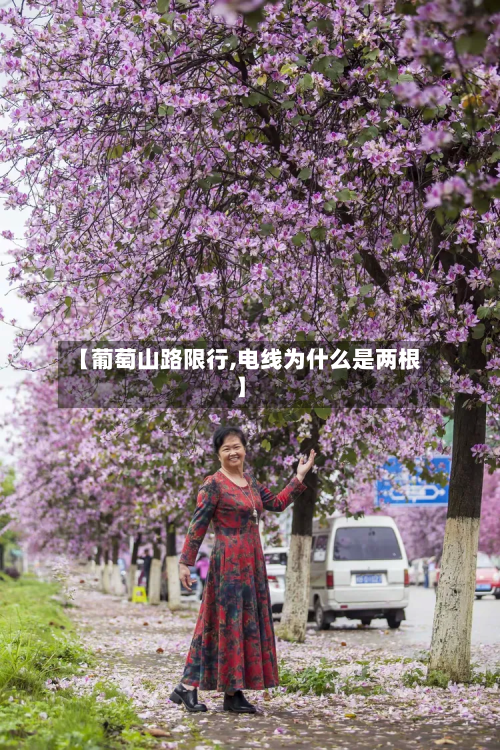 【葡萄山路限行,电线为什么是两根】