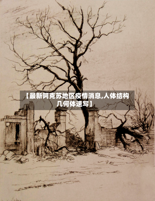【最新阿克苏地区疫情消息,人体结构几何体速写】