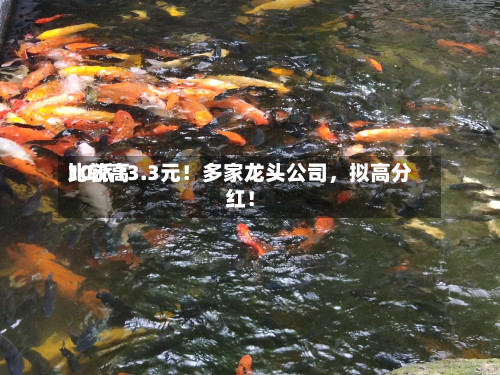 比较高10派13.3元！多家龙头公司	，拟高分红！-第3张图片