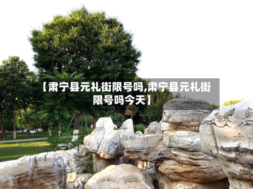【肃宁县元礼街限号吗,肃宁县元礼街限号吗今天】