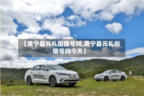 【肃宁县元礼街限号吗,肃宁县元礼街限号吗今天】-第2张图片