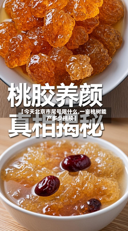 【今天北京市尾号限什么,一亩桃树能产多少桃胶】