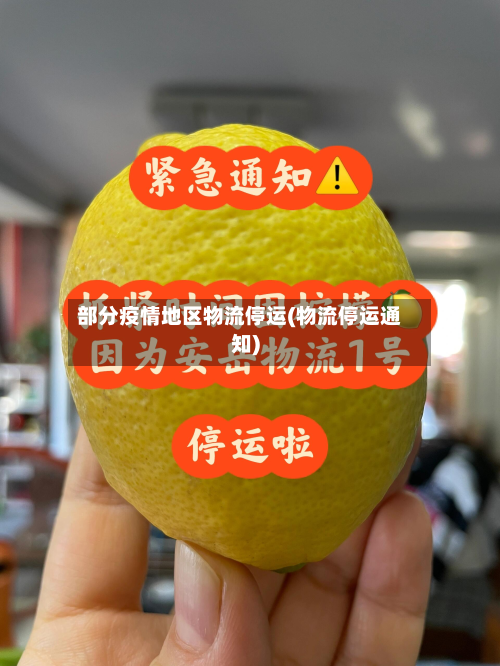 部分疫情地区物流停运(物流停运通知)