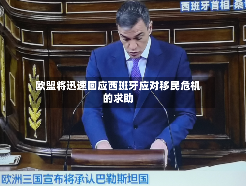 欧盟将迅速回应西班牙应对移民危机的求助-第3张图片
