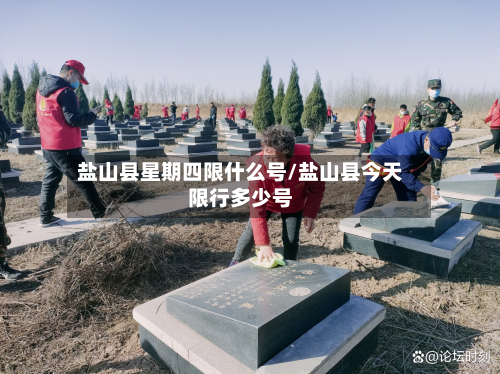 盐山县星期四限什么号/盐山县今天限行多少号-第2张图片