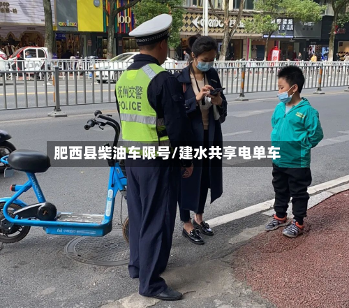 肥西县柴油车限号/建水共享电单车