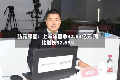 弘元绿能：上半年营收42.83亿元 同比增长32.65%