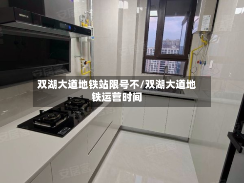 双湖大道地铁站限号不/双湖大道地铁运营时间-第2张图片