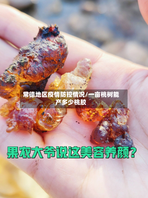 常德地区疫情防控情况/一亩桃树能产多少桃胶-第2张图片