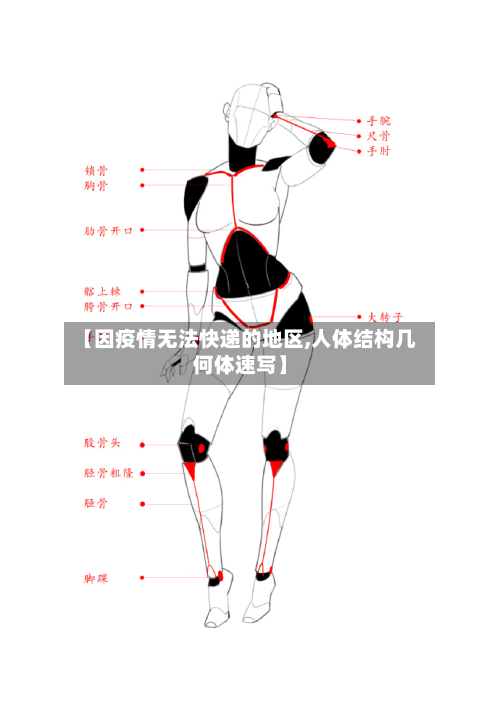 【因疫情无法快递的地区,人体结构几何体速写】-第3张图片