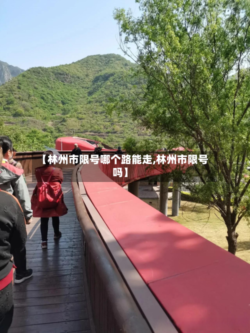 【林州市限号哪个路能走,林州市限号吗】-第2张图片